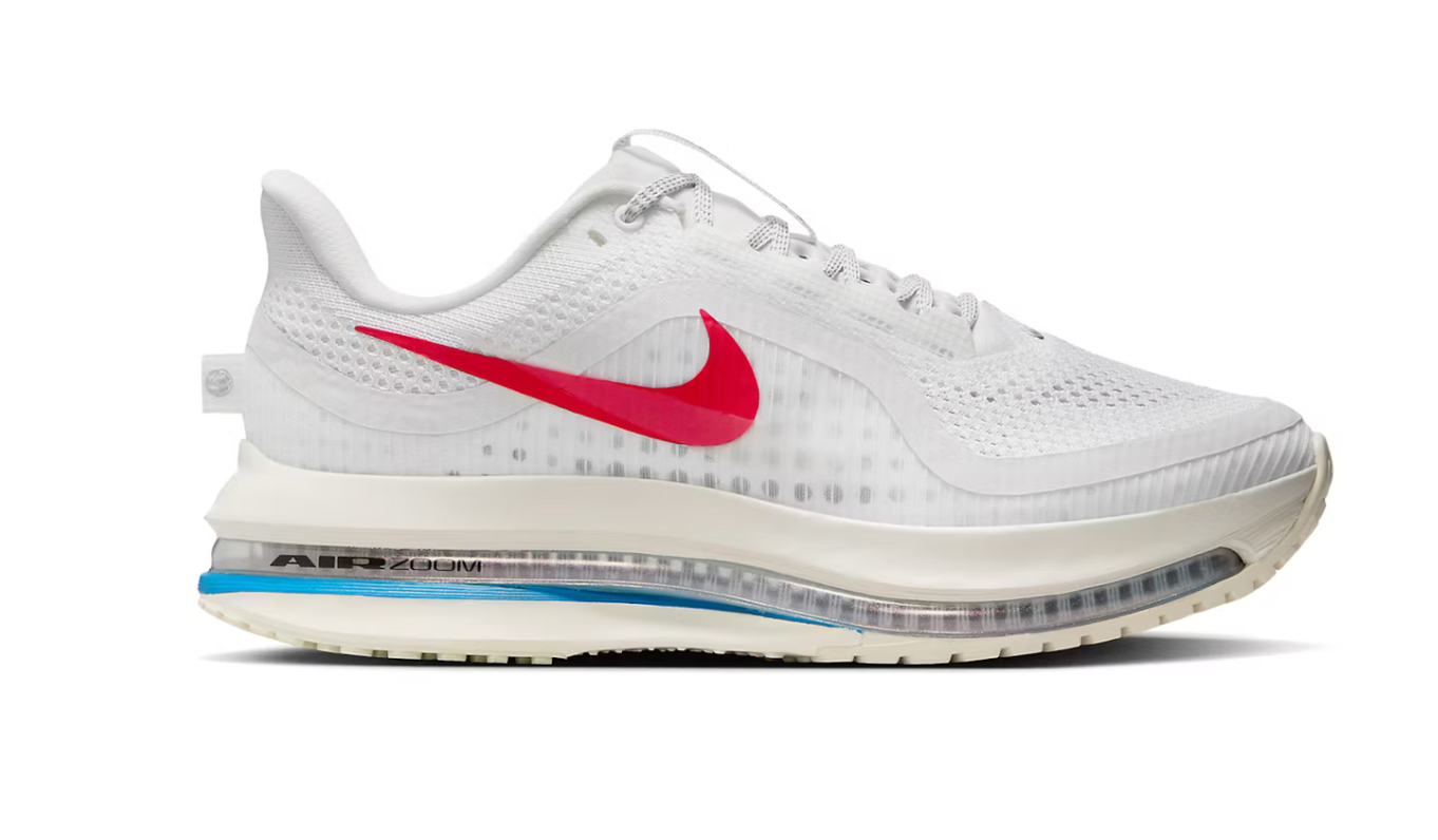 Zoom X Pegasus
